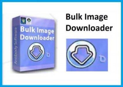 Bulk Image Downloader 11.0.0 Crack + Registration Key 2022 Download